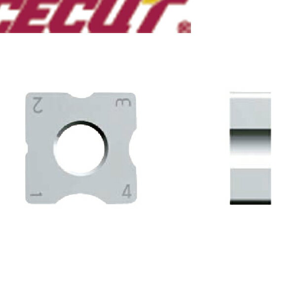 富士元工業 インサート NK2020 (12個) 品番:N43GXR8 NK2020