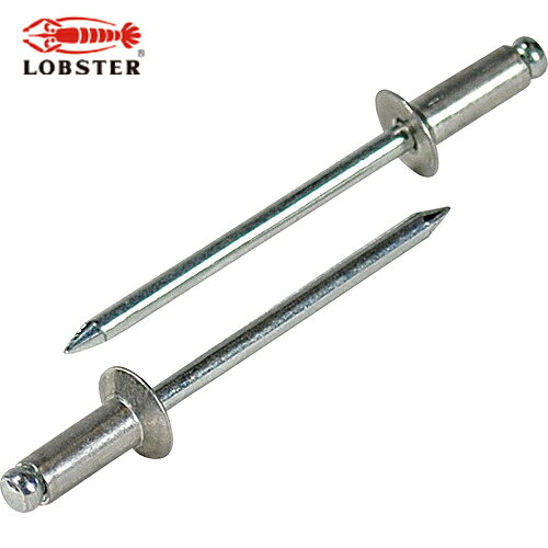 ロブテックス エビ ブラインドリベット（皿頭） アルミニウム/スティール製 4-4（75本入） エコパック (1Pk) 品番：NSA44KMP