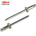 ロブテックス エビ ブラインドリベット(ステンレス/スティール製) 5-2(35本入) エコパック (1Pk) 品番:NSS52MP(4)