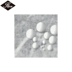 フロンケミカル フッ素樹脂(PTFE)球バリュータイプ 4.76Φ 10個入り (1袋) 品番：NR0346-004