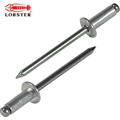 エビ ブラインドリベット(アルミニウム/ステンレス製) 4-3(1000本入) 箱入 (1箱) 品番：NTA43