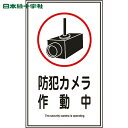 日本緑十字 安全標識 イラストステッカー標識 防犯カメラ作動中 貼123 200×120mm 10枚組 (1組) 品番:047123