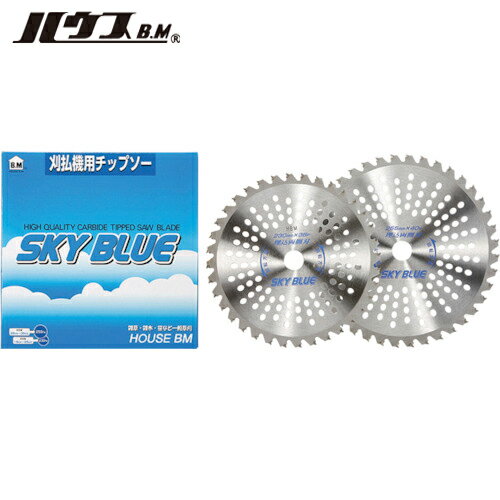 ϥBM ϥӡ ʧåץSKY BLUE (1) ֡SB-255