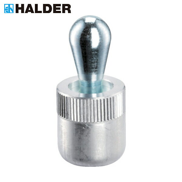 HALDER ハルダー プレッシャー・ピン 圧入タイプ シール無 160×17L (1個) 品番：22150.0042