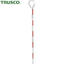 トラスコ TRUSCO ピンポール 全長300mm ポール外径6.0mm (1本) 品番:TPP-30