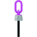 【6/22 20:00~6/27 01:59迄 ポイント2倍 お買い物マラソン】 RUD バリオリングロングボルトタイプ VWBG M24L (1個) 品番:VWBG-M24L