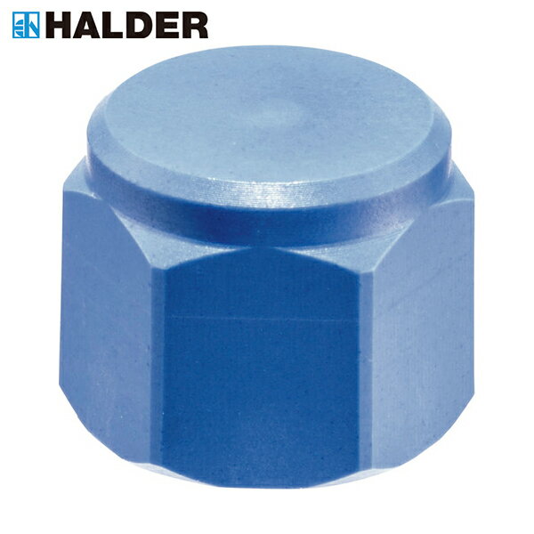 HALDER ハルダー 台座ピン プラスティックコーティング M10 (1個) 品番：22691.0233