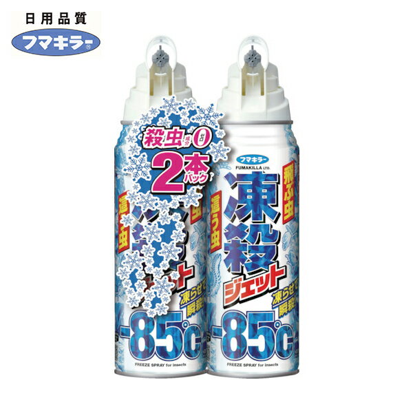 フマキラー 殺虫剤 凍殺ジェット300ml2本パック (1Pk) 品番：448665