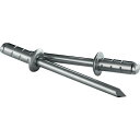 GESIPA ゲシパ 詰め替え用リベット PolyGrip アルミ/スチール製 50本入り Φ4.0mm×17mm (1箱) 品番:1433849(4)