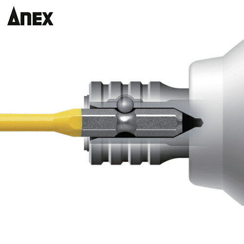 アネックス Anex カラービット2本組 段付+1×100 (1Pk) 品番：ACMD-1100