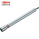 ロブテックス エビ ストロック 軽天ソケット 対辺19mm×300mm (1個) 品番:DSKT193