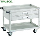 トラスコ TRUSCO ツールワゴン イーグルワゴン 750X500 引出2段付 4輪自在 ホワイト (1台) 品番:EGW-672V2J-W