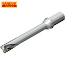 SANDVIK サンドビック コロドリルDS20刃先交換式ドリル(465) (1本) 品番:DS20-D3000L32-07(4)
