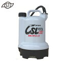 寺田ポンプ製作所 TERADA テラダ 要部ステンレス水中ポンプ 底水用 60Hz (1台) 品番:CSL-100L 60HZ