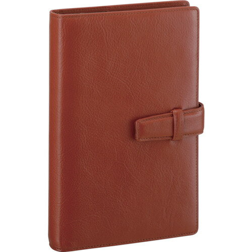 レイメイ藤井 ダヴィンチシステム手帳スタンダード（聖書）15MMブラウン (1冊) 品番：DB3006C