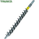 【6/22 20:00〜6/27 01:59迄 ポイント2倍 お買い物マラソン】 トラスコ TRUSCO チューブブラシ スパイラル型 ステンレス Φ13 (1...