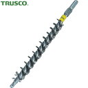 【6/22 20:00〜6/27 01:59迄 ポイント2倍 お買い物マラソン】 トラスコ TRUSCO チューブブラシ スパイラル型 ステンレス Φ25 (1...