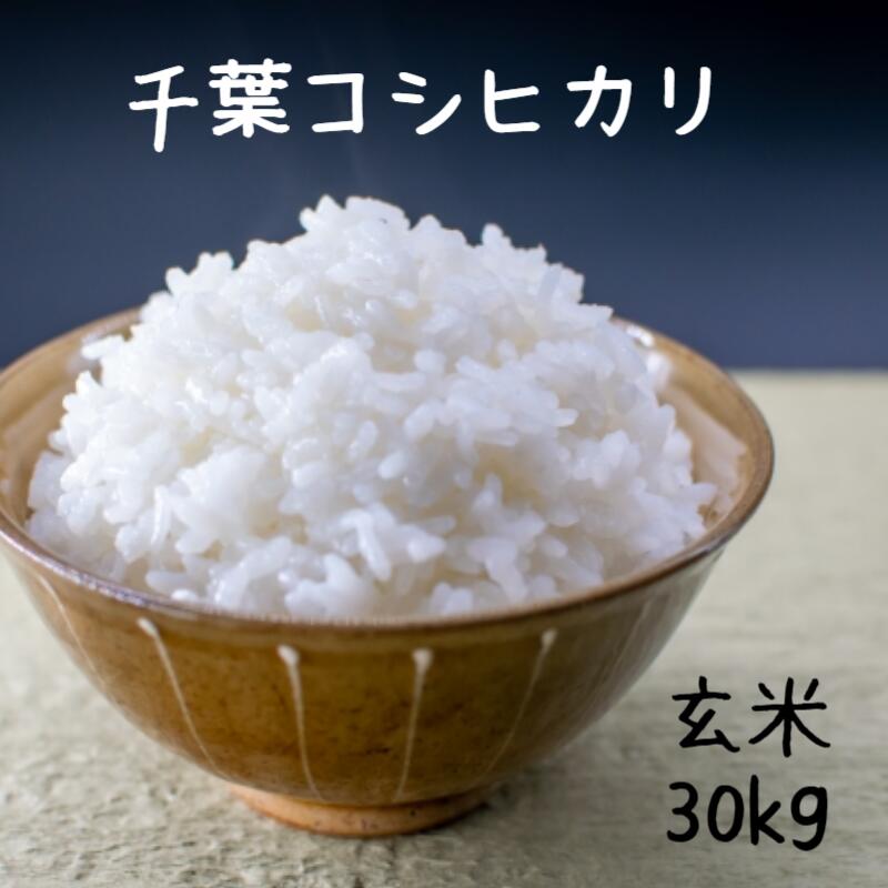 米　30kg　精米・無洗