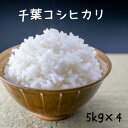 米 20kg 無洗米可(オプション) コシヒカリ 令和5年産 白米20kg(5kg×4)
