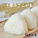 米 20kg 無洗米可(オプション別途購入)ふさこがね 令和6年産 千葉県産ふさこがね白米5kgx4家計お助け米【送料無料】(北海道、九州、離島を除く)業務用に...