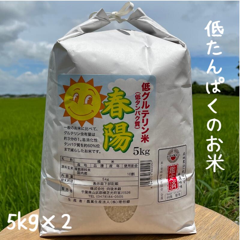 低たんぱく米 低タンパク米 春陽 10k