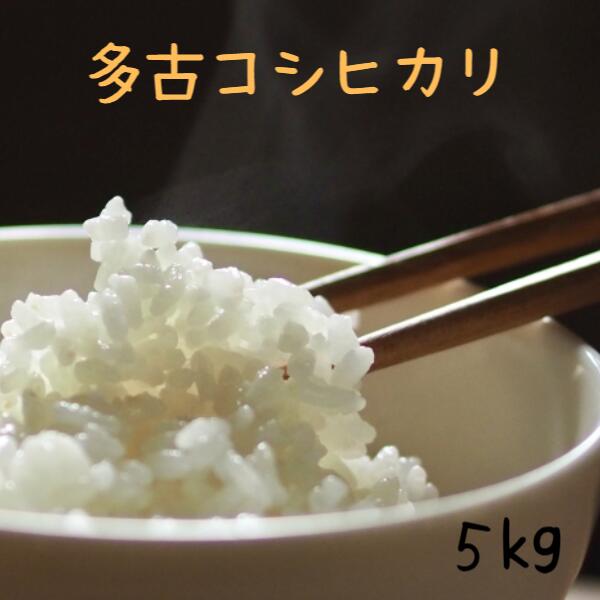 多古米 コシヒカリ 令和5年産米5kg送