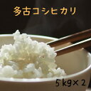 令和4年産新米！美味しい米10kg送料無料多古コシヒカリ【徳