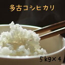 令和5年産　　多古米コシヒカリ　白米 20kg（5kgx4）　無洗米加工可（別途オプション）送料無料 （北海道、九州、沖縄除く）最短翌日配達（条件による） 敬老の日 贈り物 ギフトにも