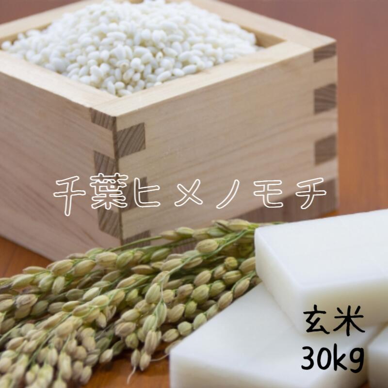 【ふるさと納税】森町産「葵美人」もち米10kg（12カ月連続お届け）　【定期便・米・餅／こめ・もち／定期便・頒布会】