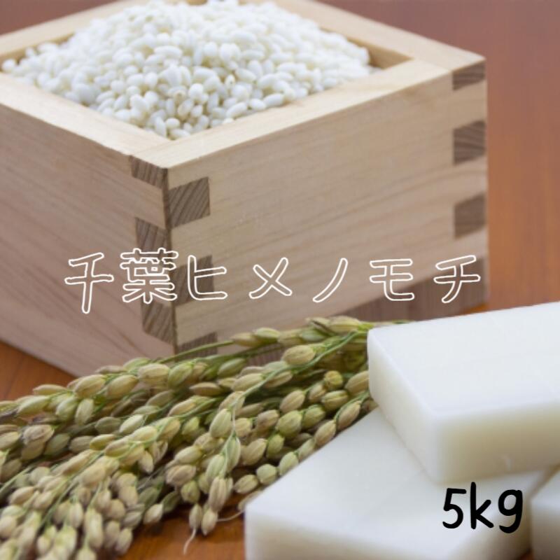 新米 もち米 5kg ヒメノモチ 令和7年産 千葉県産 白米 5kg