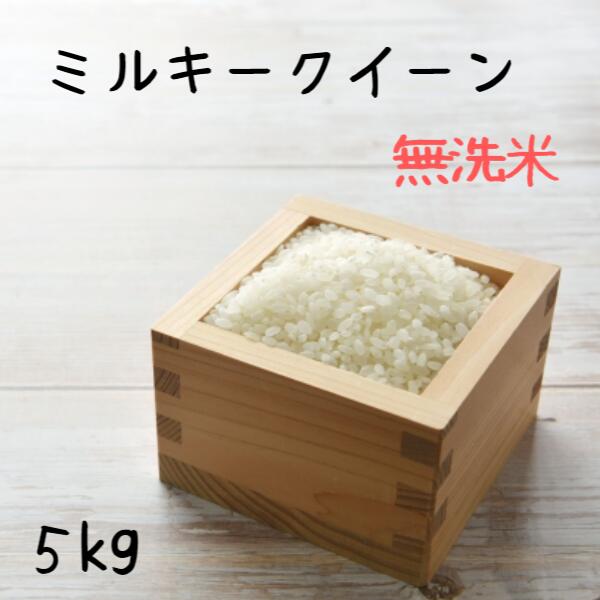 無洗米 5kg ミルキーク