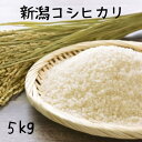 米 5kg 送料無料 令和6年産 味の王様 新潟県産コシヒカリ 白米5kg