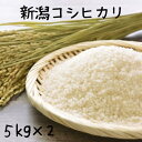 令和5年産　新潟県産コシヒカリ　白米10kg(5kg×2)