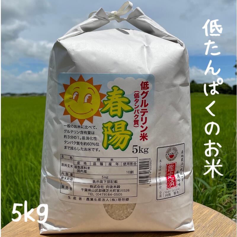 低たんぱく米 低タンパク米 春陽 5kg 令和5年 千葉 低グルテリン米 安い おいしい 低たんぱく食品 低たんぱくごはん腎臓病 糖尿病に 送料無料 北海道 九州は別途300円・沖縄・離島は別途500円…