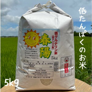 低たんぱく米 低タンパク米 春陽 5kg 令和5年 千葉 低グルテリン米 安い おいしい 低たんぱく食品 低たんぱくごはん腎臓病 糖尿病に 送料無料（北海道、九州は別途300円・沖縄・離島は別途500円かかります）最短翌日配達（注文日配達地域による）