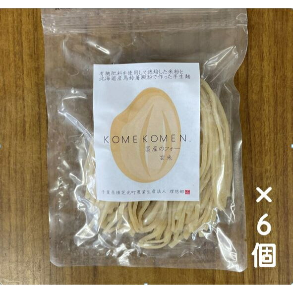 米粉麺 フォー (玄米) 120g×6セット ポスト投函のお品です※日時指定・代金引換不可