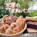米粉パン 小麦粉不使用 グルテンフリー 5種セット 計14個(冷凍)ネット通販開始祝・限定価格!!送料無料(北海道・九州地方へは別途送料300円・沖縄その他離島...