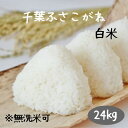 米 24kg 白米 送料無料 千葉ふさこがね 令和6年産 無洗米加工・小分けは別途オプション購入でつけられます 送料無料(北海道九州は別途300円沖縄離島は別...