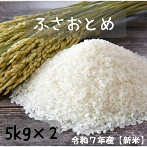 米 10kg 送料無料 令和7年産 新米 千葉県産ふさおとめ 白米 5kgx2【送料無料】(北海道、九州、離島を除く)