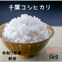 無洗米 5kg 新米 令和7年産 コシヒカリ 送料無料 千葉コシヒカリ 白米5kg