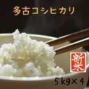 多古米 千葉県多古米 新米 20キロ 送料無料 多古米コシヒカリ 20kg (5kgx4) 令和7年産 無洗米加工可(別途オプションの購入が必要です)【徳川献上...