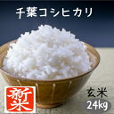 新米 24kg 玄米 送料無料 千葉コシヒカリ 令和7年産 小分けは別途オプション購入でつけられます 送料無料(北海道九州は別途300円沖縄離島は別途500円)