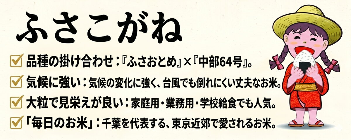 令和7年産 ふさこがね 米 5kg 千葉県産 無洗米 白米 精米 千葉県 米 お米ソムリエ...
