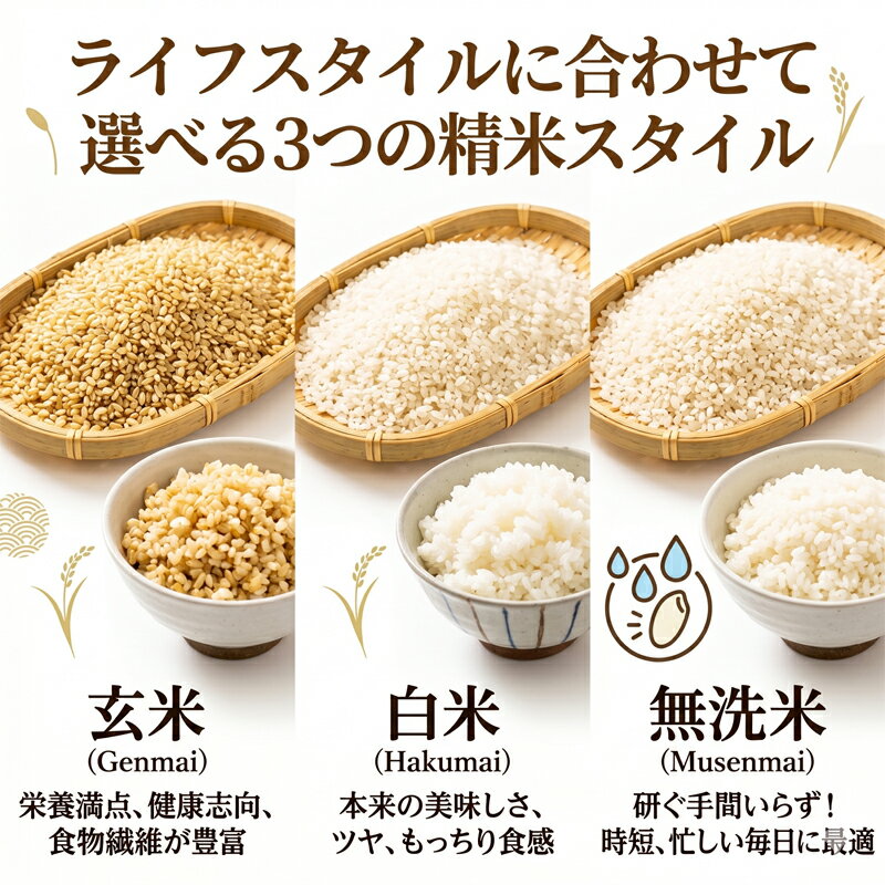 理想郷 ミルキークイーン 米 10kg 令和7年 千葉県産 無洗米 玄米 精米 金賞受賞米 ...