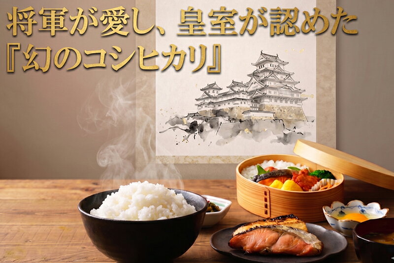 米 10kg 多古米 コシヒカリ 令和7年産 (5kg×2袋) 千葉県産 白米 無洗米 精米 送料...