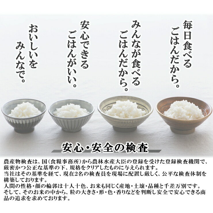 令和3年産　新潟県産コシヒカリ　無洗米10kg（5kg×2）