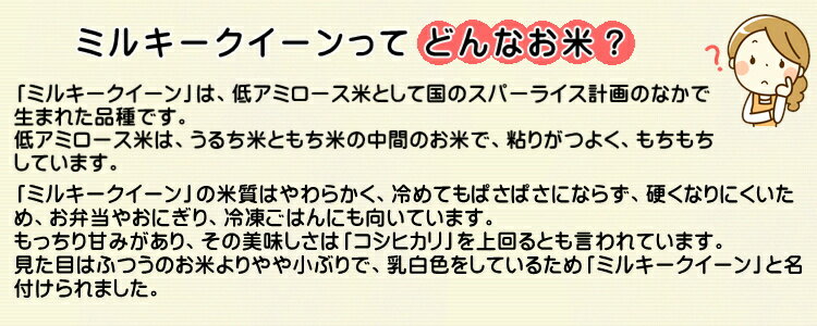 令和3年産 千葉県産 ミルキークイーン 玄米 20kg（10kg×2）※外袋はイメージです。