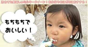 令和元年産 千葉県産 ミルキークイーン 玄米 30kg※外袋はイメージです。