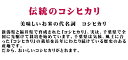 米　5kg　無洗米可（オプション）　コシヒカリ　令和5年産　白米5kg 3