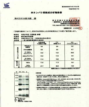 30年産 千葉県産 春陽(低グルテリン米)白米 5kg